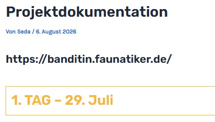 Screenshot Projektdokumentation Beitrag